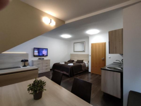 Horský Apartmán C303 v Anenském údolí se saunovým wellness v ceně pobytu, O2 TV a stabilní rychlou WIFI - by Relax Harrachov